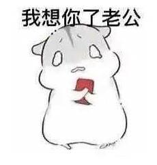 撒娇专用句