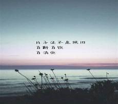 伤感文案加配图