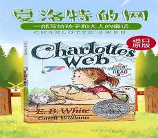 主角叫夏洛特的电影