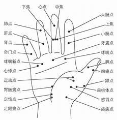 食指下方是什么反射区